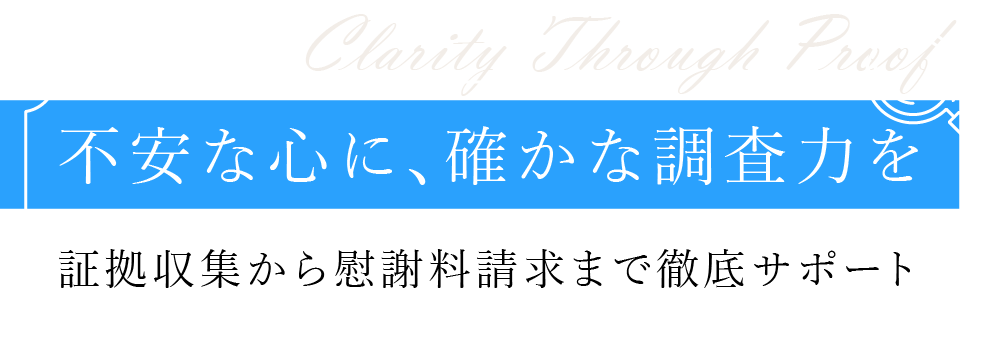プロの調査力で証拠を収集