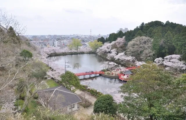 千葉県茂原市の浮気調査｜無料相談で納得できる証拠収集と費用相場を知る方法